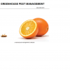 Greenhouse Pest Management