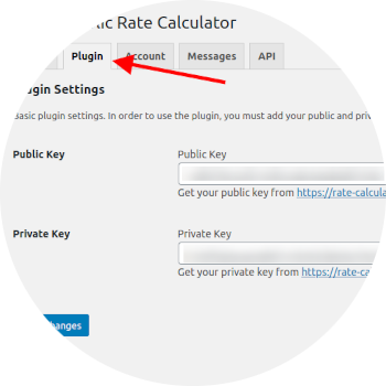 WordPress plugin security settings